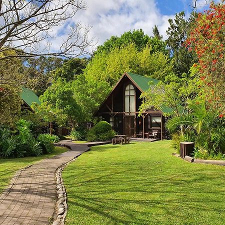 Tsitsikamma Lodge & Spa Stormsrivier Dış mekan fotoğraf