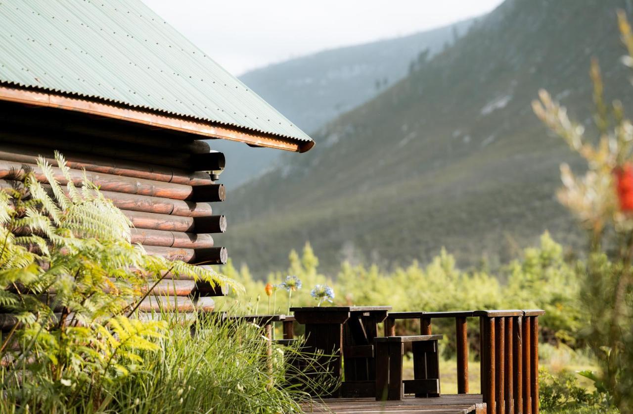 Tsitsikamma Lodge & Spa Stormsrivier Dış mekan fotoğraf