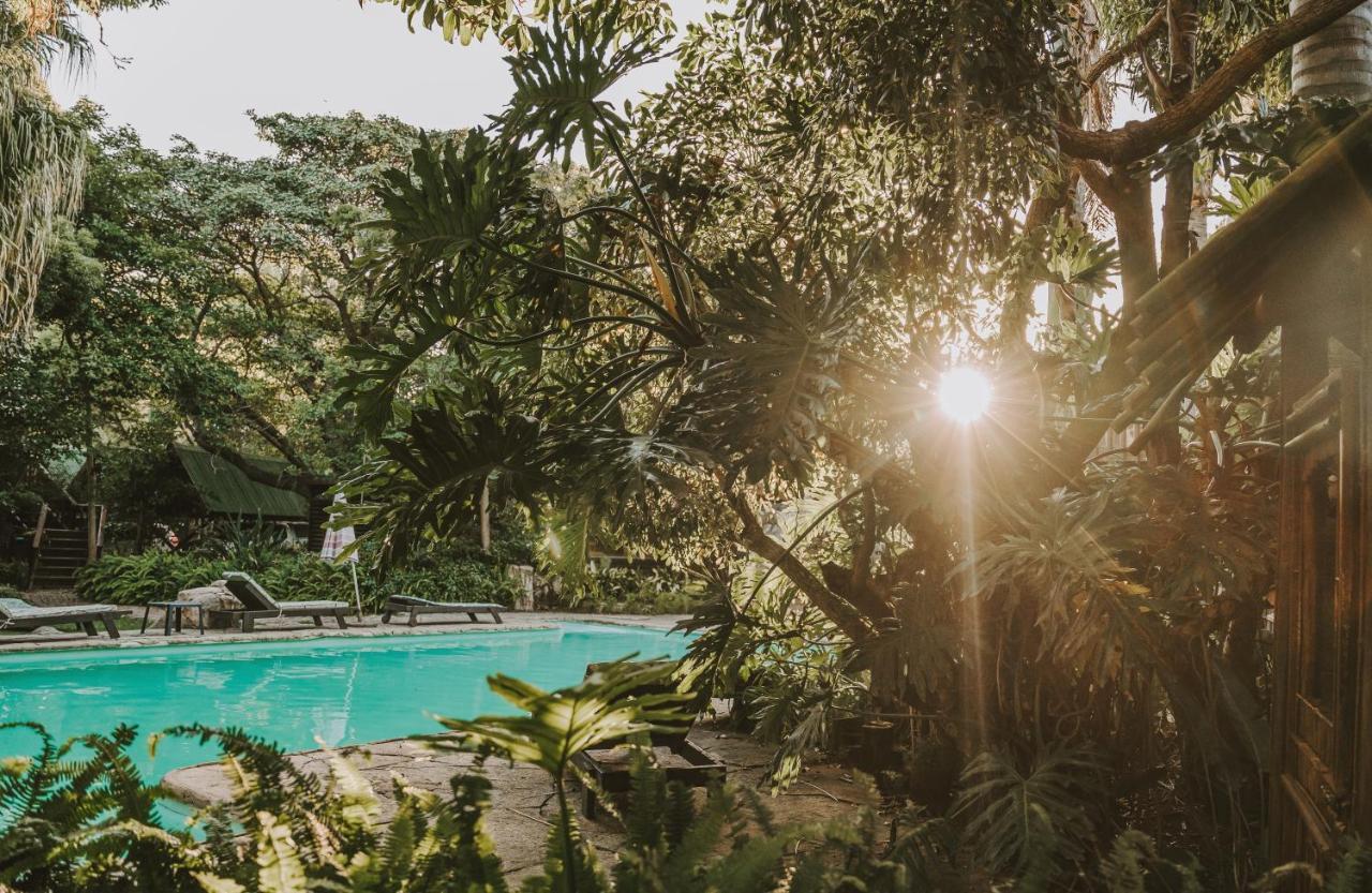 Tsitsikamma Lodge & Spa Stormsrivier Dış mekan fotoğraf