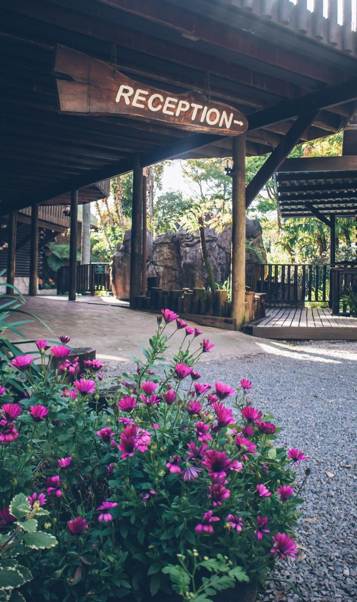 Tsitsikamma Lodge & Spa Stormsrivier Dış mekan fotoğraf