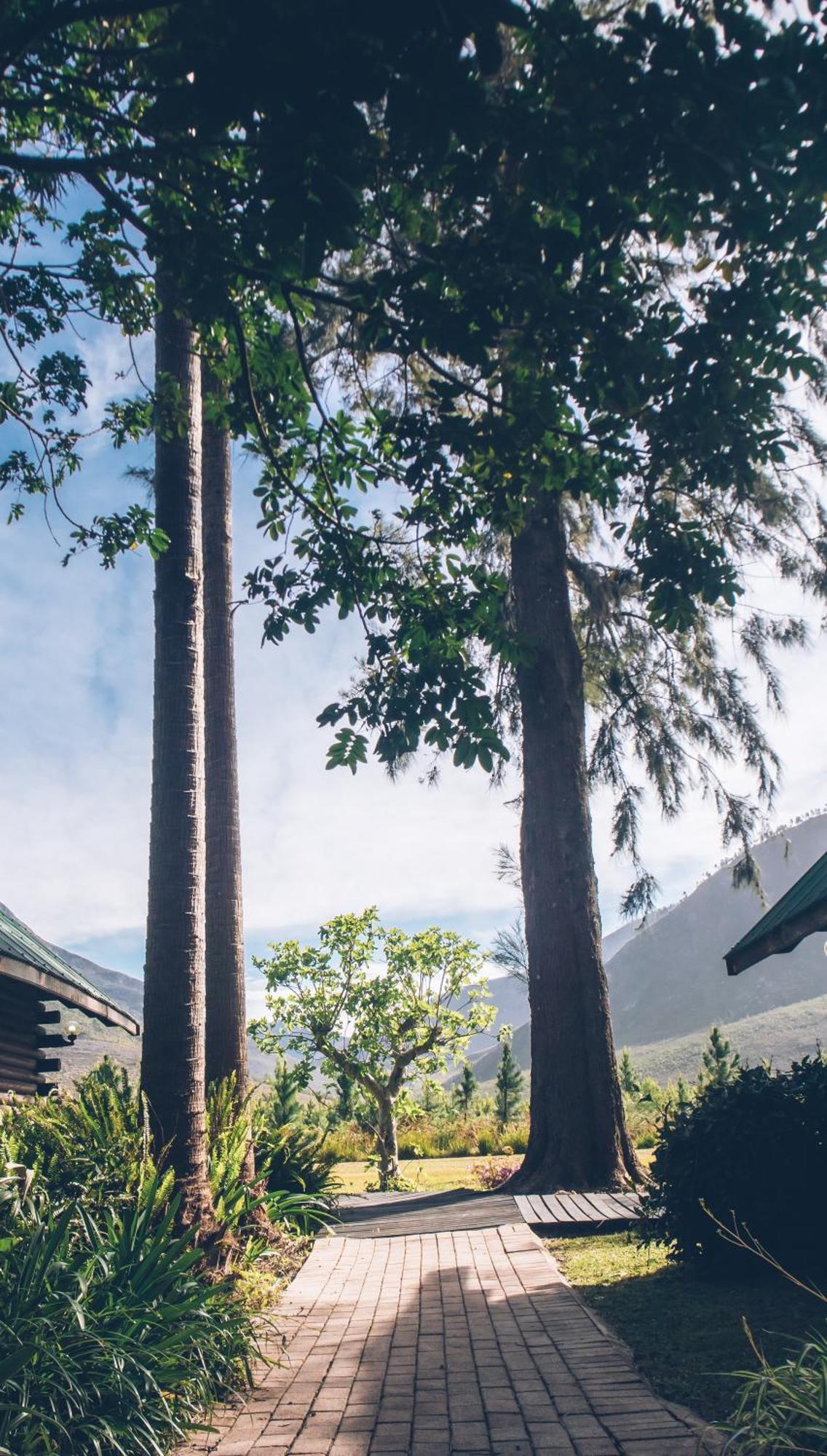 Tsitsikamma Lodge & Spa Stormsrivier Dış mekan fotoğraf