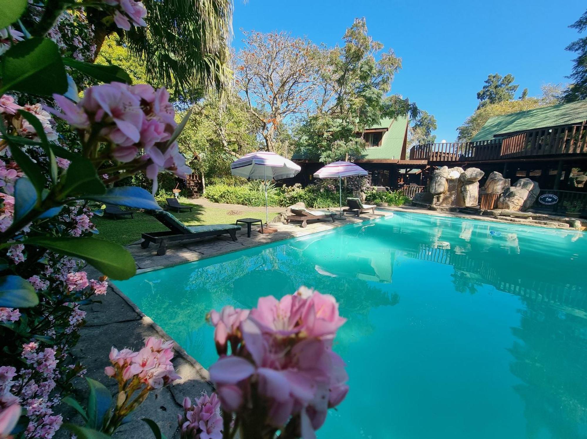 Tsitsikamma Lodge & Spa Stormsrivier Dış mekan fotoğraf